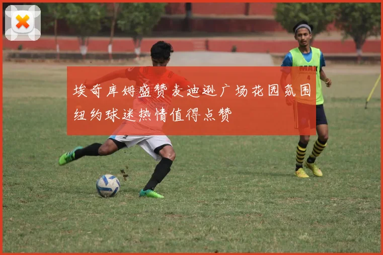 埃奇库姆盛赞麦迪逊广场花园氛围纽约球迷热情值得点赞